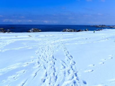 そだねー 流行語大賞受賞 これからは北海道だね そだねー