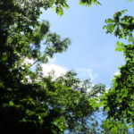 北海道の渓流釣り、令和元年スタート。