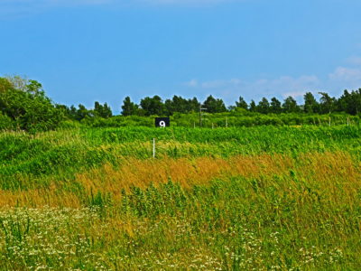 よく生きるものが、何かをつかむ。ベニシアさんと北海道