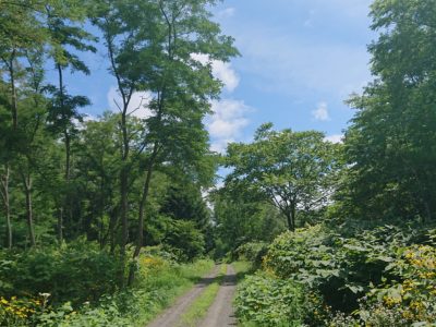 北海道の渓流釣りは、今、シンコ釣りです。