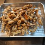 ベニシアさんお元気ですか？幸せと、恵まれていることは、ちょっと違う。