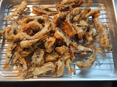 ベニシアさんお元気ですか?幸せと、恵まれていることは、ちょっと違う。