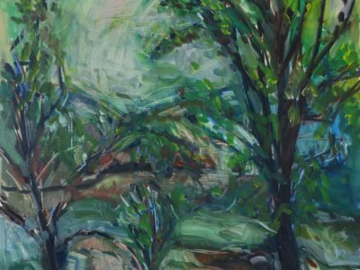 北海道の渓流釣り　美国川遠征