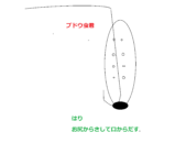 白井川遠征・ライオンの滝の思い出