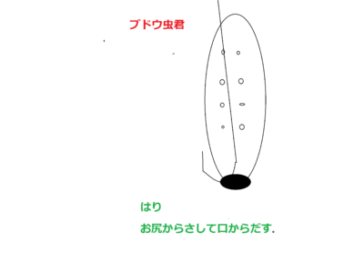 白井川遠征・ライオンの滝の思い出