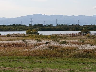 ベニシアさん2019秋