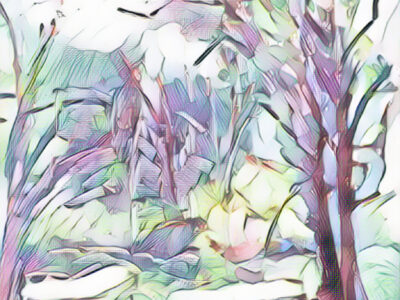 ベニシアさんと歌、たましいと母国語