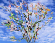 春夏秋冬ベニシアさんのエッセイ