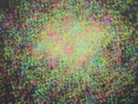 三岸好太郎と飛ぶ蝶