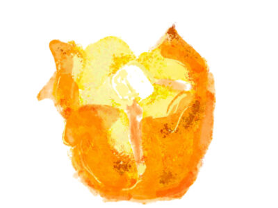 大通公園とトウキビワゴンと札幌の空