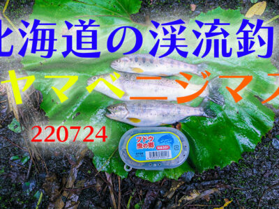 ヤマベの南蛮漬けを作りました。北海道の渓流釣り
