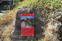 ムンクの叫びの功罪