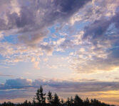 夕焼けの絵を好む人は、感傷的なのでしょか。生命と瞬間の考察。