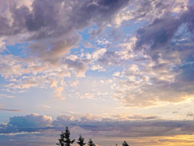 夕焼けの絵を好む人は、感傷的なのでしょか。生命と瞬間の考察。