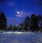 ムンクのオースゴードストランド⑫