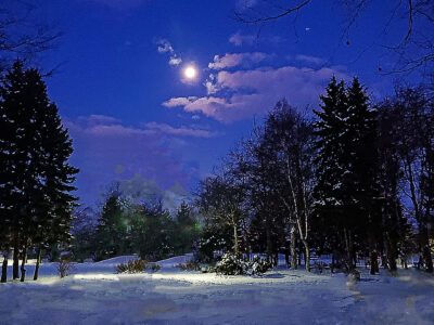 ムンクのオースゴードストランド⑫