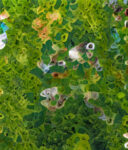 ムンクのオースゴードストランド⑩